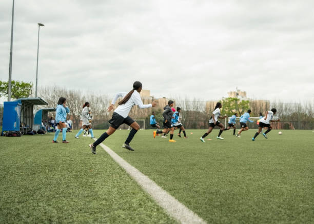 自美国的互 自美国的互